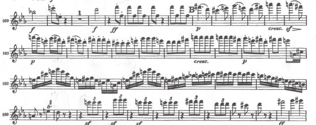 Beethoven Excerpt